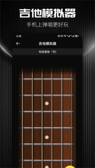 tunerlite调音器图3