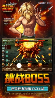 合金弹头集结图3