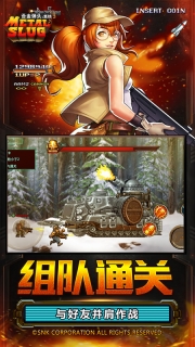 合金弹头集结图4