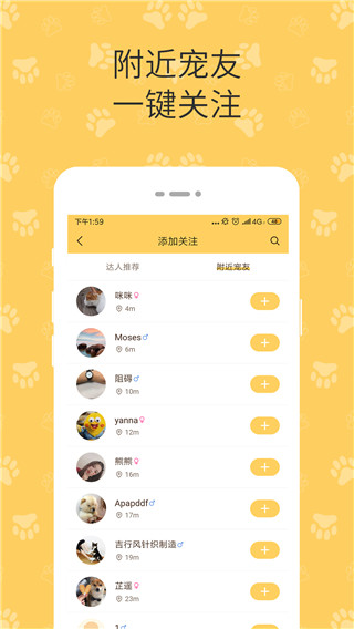 陪彼宠物图4