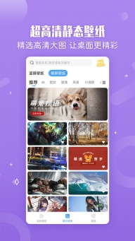 360小鸟壁纸手机版图2
