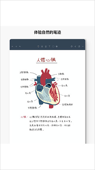 noteshelf安卓版图3