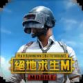 pubg mobile国际服