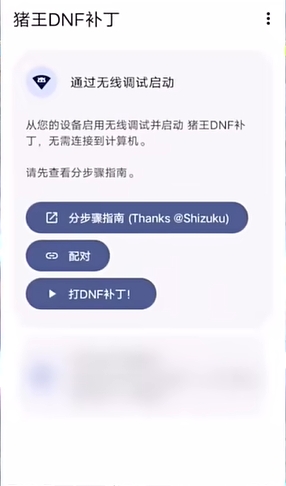 猪王DNF工具(1)