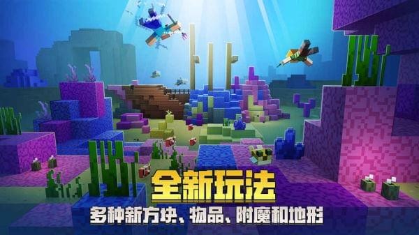 我的世界java中文版