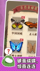 小小养蚕师钻石版(3)
