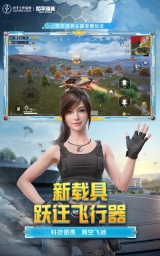 和平精英国际服手机版图2
