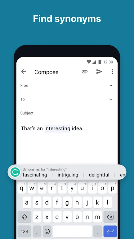 grammarly 图3
