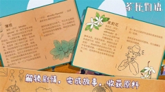 茶杯物语(1)