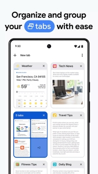 谷歌浏览器开发版图1
