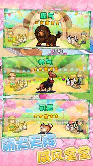 发现狗狗乐园最新版图4