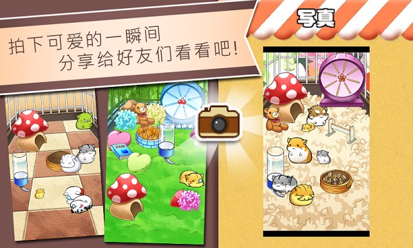 仓鼠的日常2025最新版图3