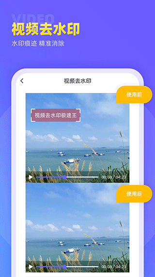 视频去水印极速王图5