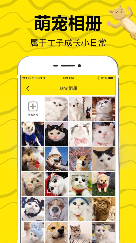 猫语翻译图5