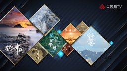 cctv新视听电视版图2