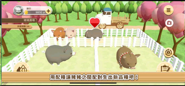 养猪场3D最新版图3