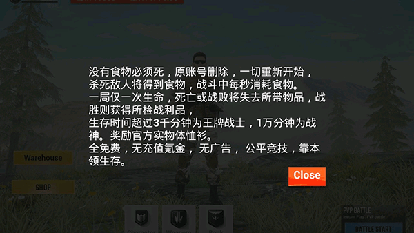 雷电傲气雄鹰游戏图4