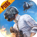pubg国际服体验服