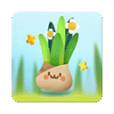 口袋植物 V2.11.2