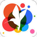 360小鸟壁纸手机版 V3.0.2