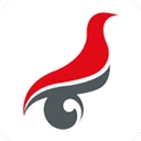 学信网手机最新版app下载-学信网手机最新版软件下载