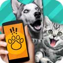 Pet Translator宠物对话翻译器 V1.1