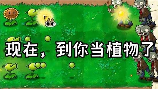 植物大战僵尸繁琐版(1)
