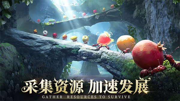 小小蚁国国际服最新版图1