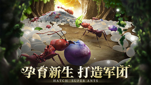 小小蚁国国际服最新版图2