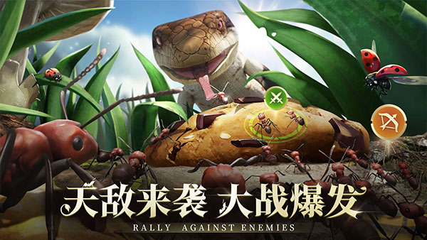 小小蚁国国际服最新版图5