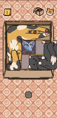 盒子猫游戏图3