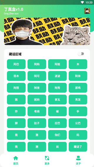 丁真盒最新版图1