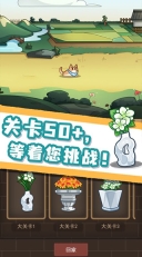 数织画花游戏图3