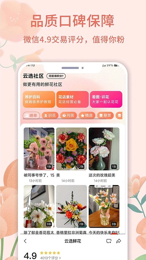云选鲜花批发图3