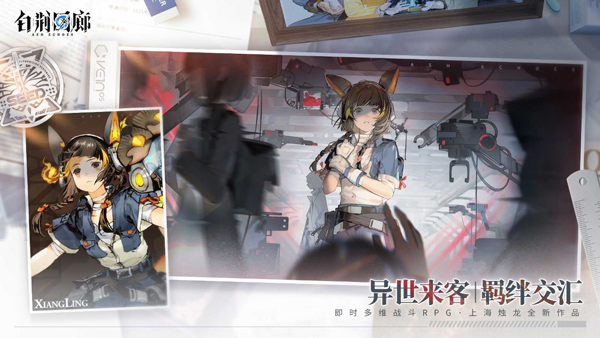 白荆回廊国际服最新版图2