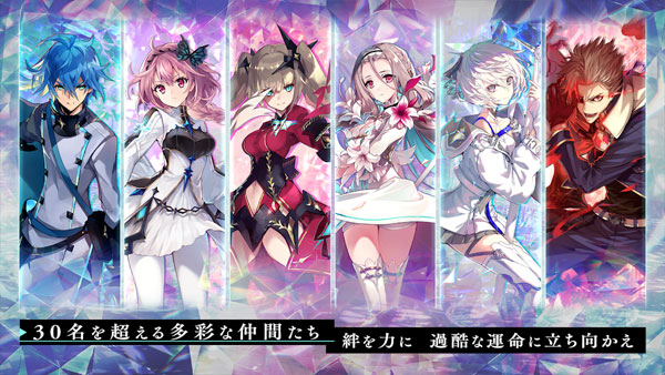 Aster Tatariqus(阿斯塔塔雷克斯)图3