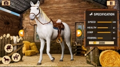骑马赛马(Horse Riding)图4