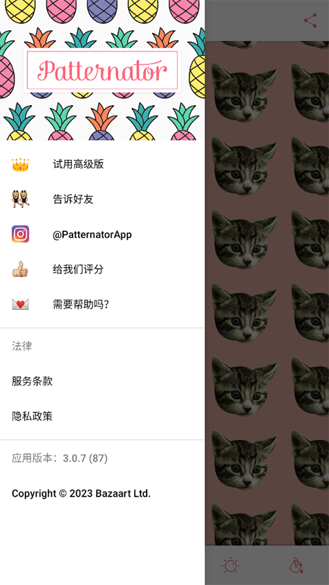 Patternator中文版图4