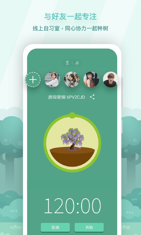 forest2025最新版图5