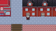 口袋妖怪剑盾汉化版图4