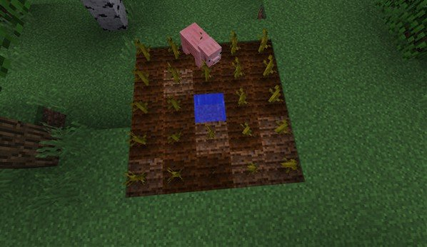 我的世界不用登录版图3