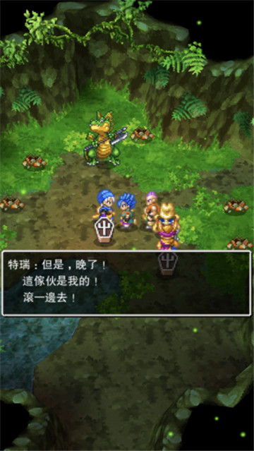 勇者斗恶龙6汉化完整版图5