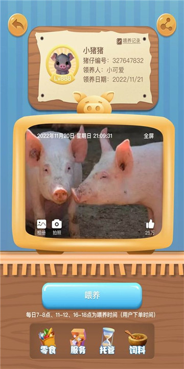 我家猪场图2