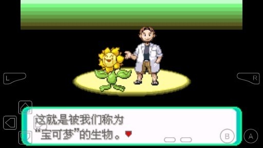 口袋妖怪增强绿宝石手机版图3