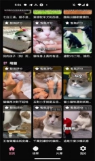 Gimy短剧图2