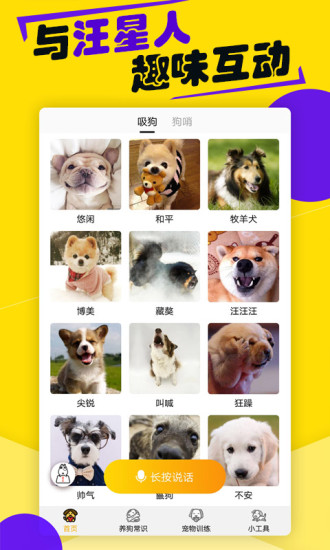 狗语翻译器免费版图2