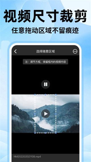 无痕去视频水印大师图3