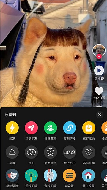 逗音小能手图3