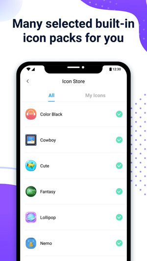 xiconchanger图3