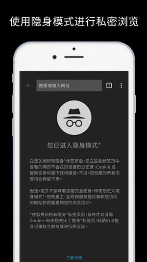 谷歌浏览器图1